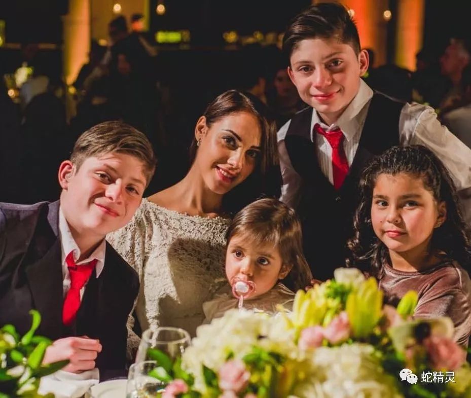 法甲倒计时，菲尼克斯太阳关键时刻造点机会，细节引发关注，引发热议，临场指挥获称赞的简单介绍